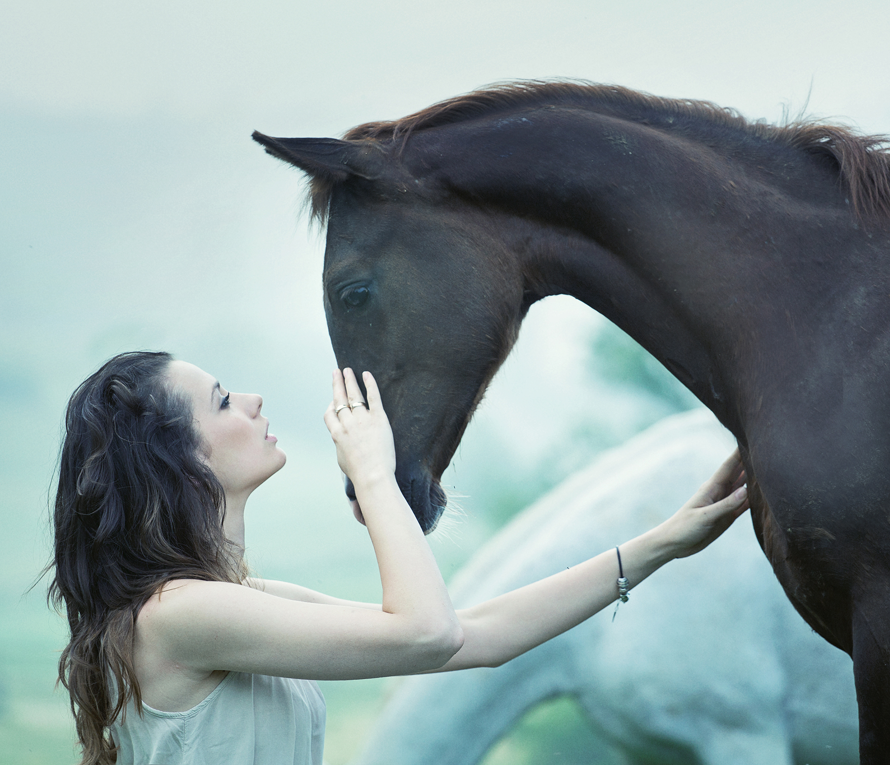 the-dark-horse-2014-zomeravond-schaken-kriterion